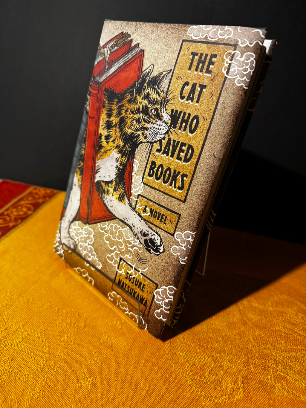 The Cat Who Saved Books