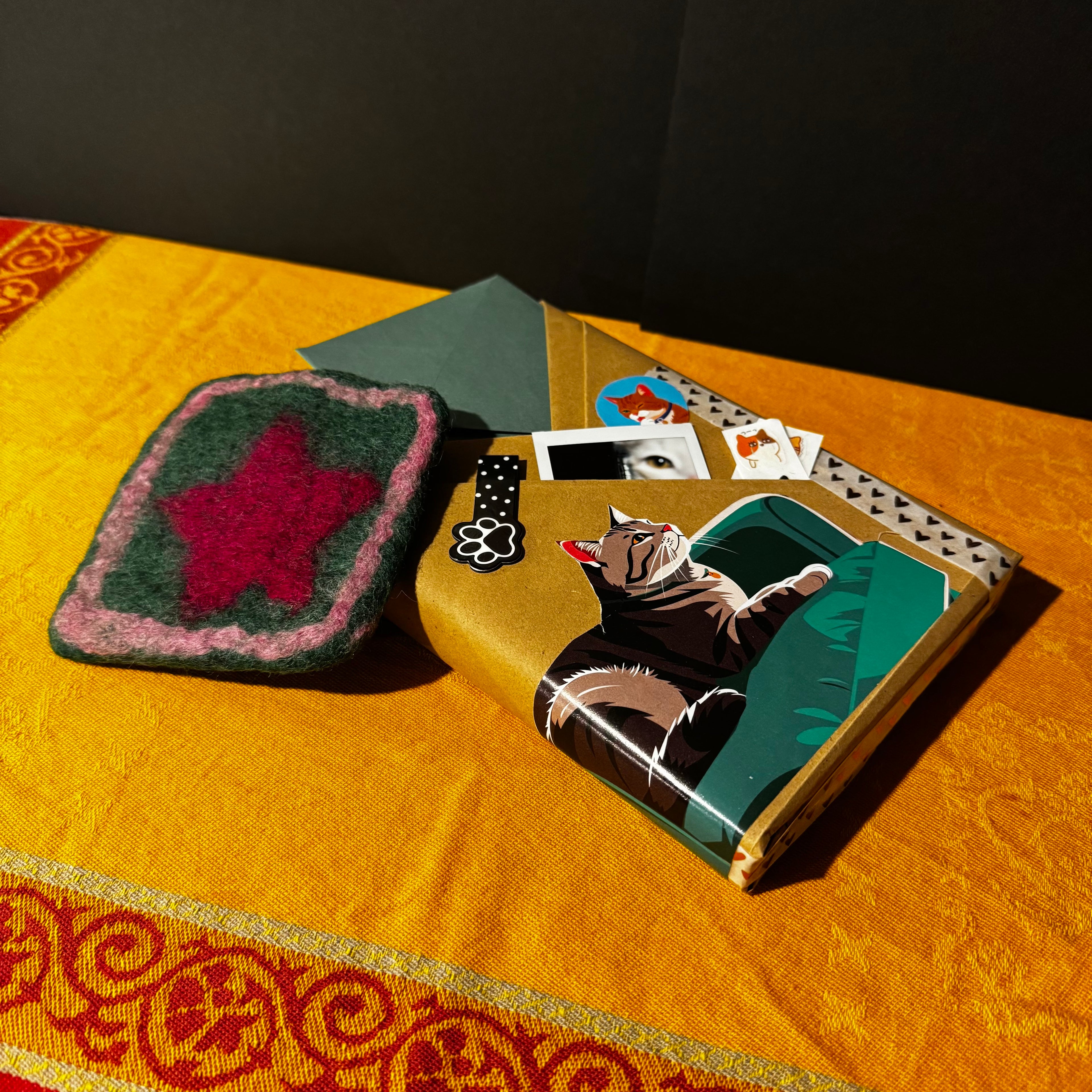 A secret book with cat themed items