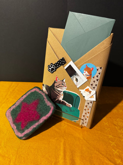 A secret book with cat themed items