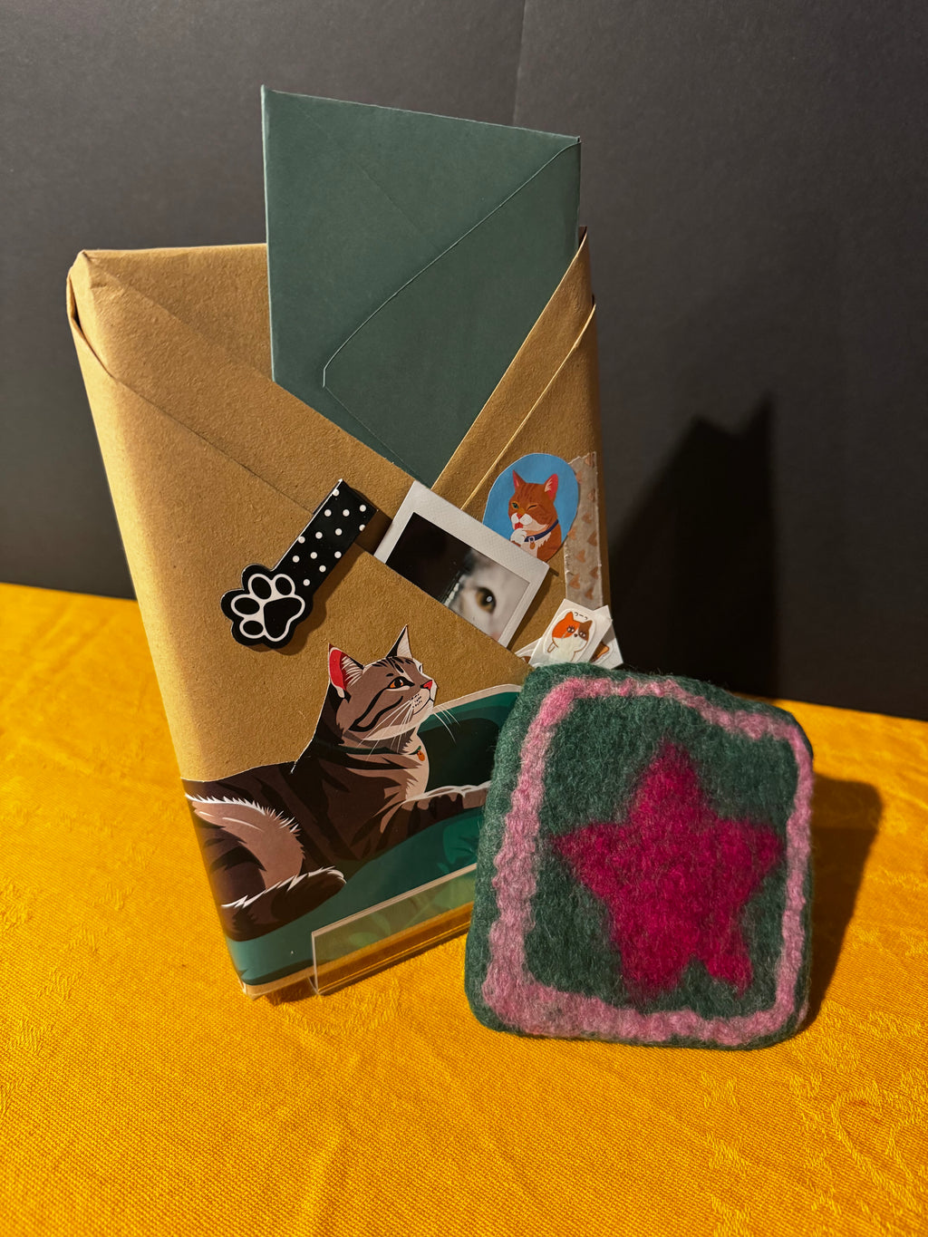 A secret book with cat themed items