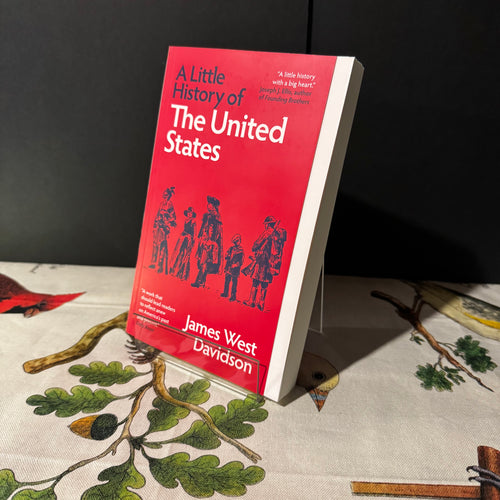 Book titled 'A Little History of The United States' by James West Davidson on a decorative surface with a dark background.