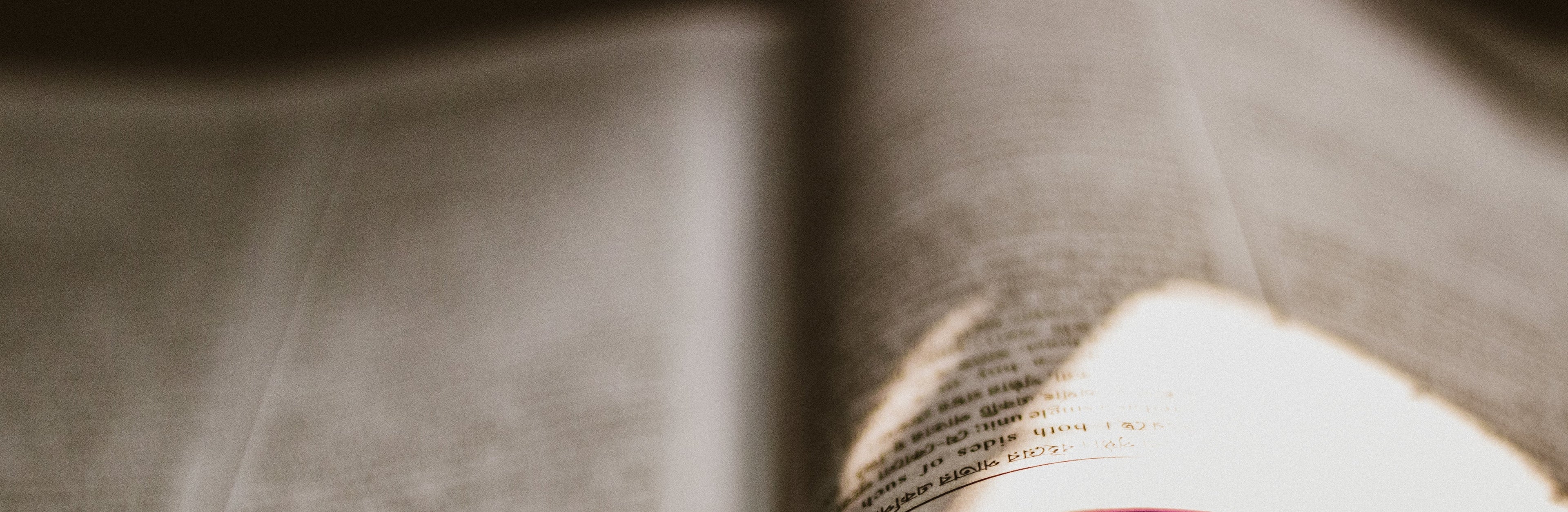 sunlight on book pages